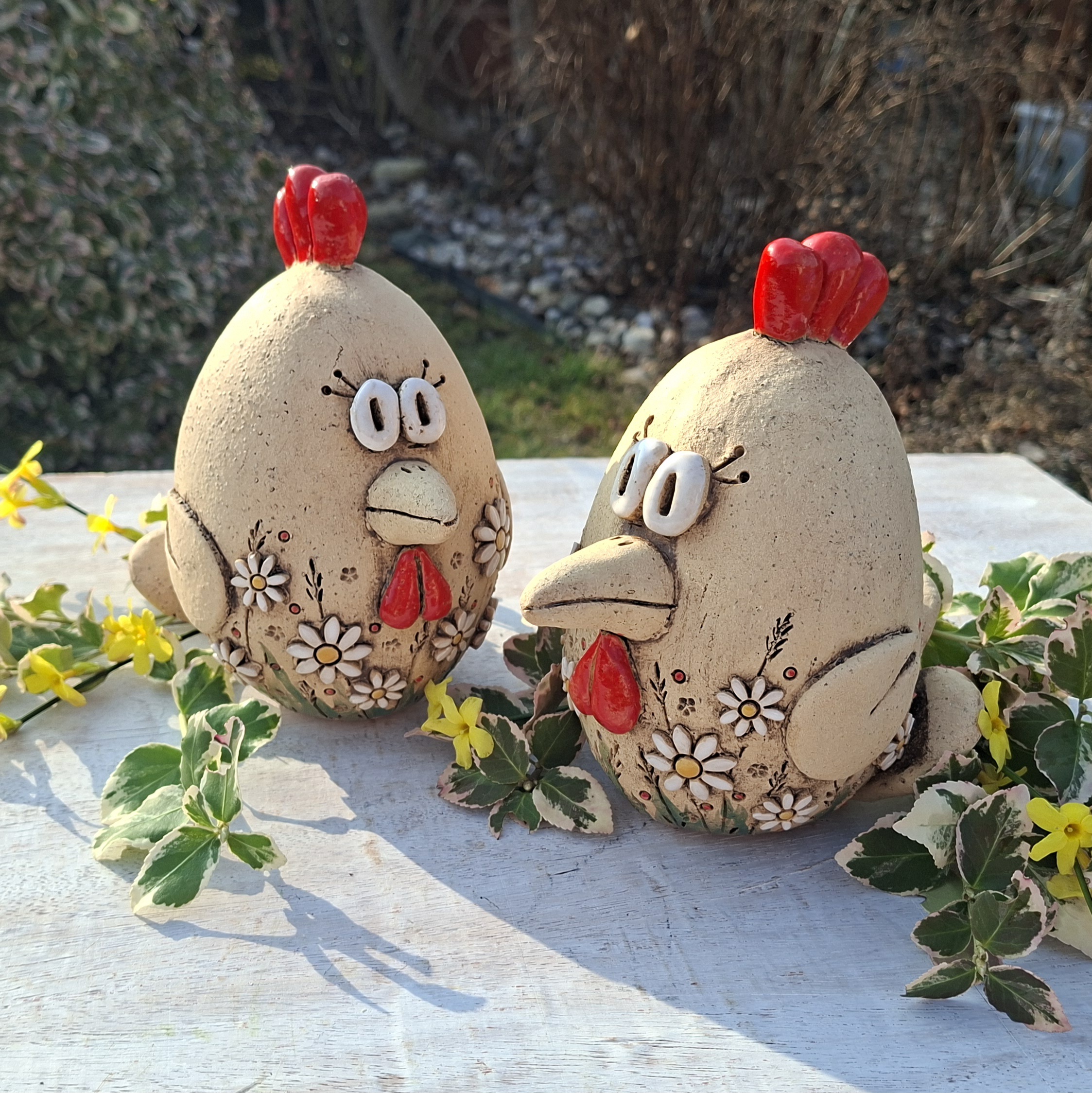 Kohoutek větší  - 3